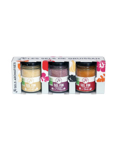 REGLETTE SALIERE SEL FIN -...