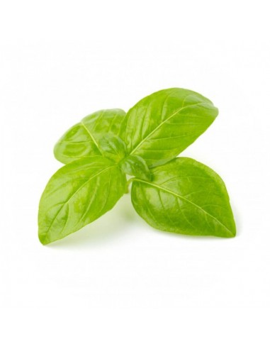 Gros Sel Basilic