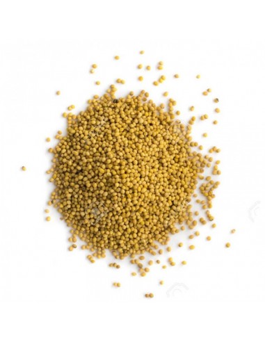 Gros Sel Moutarde