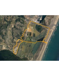 Visite Trott 1h00 - La... 2