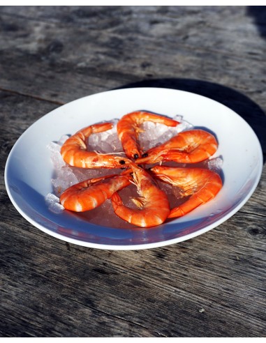 Bouquet de 6 crevettes