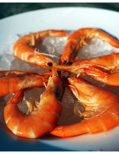 Bouquet de 6 crevettes