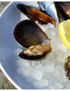 Bouquet de 6 moules crues 2