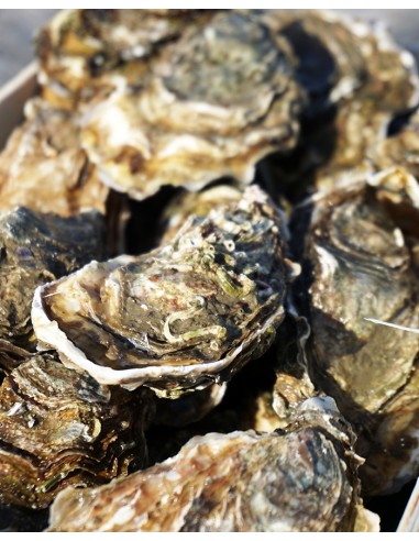 Bourriche 3kg : Huitres  n°3