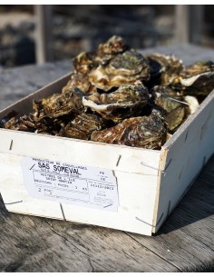 Bourriche 3kg : Huitres...