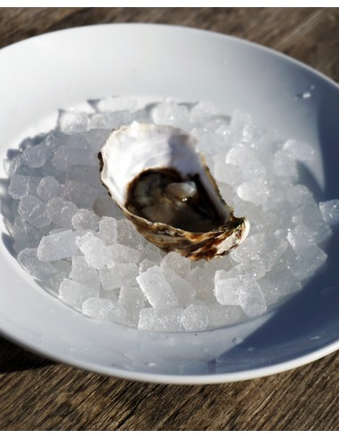 Bourriche 3kg : Huitres  n°3