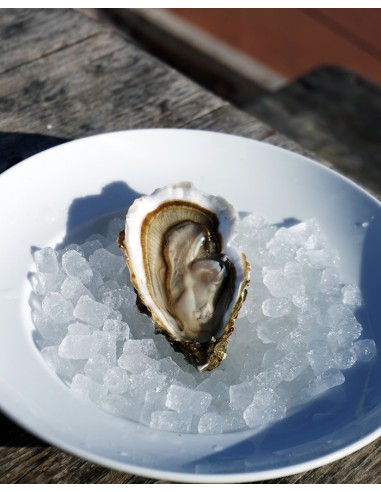 Bourriche 5kg : Huitres  n°2