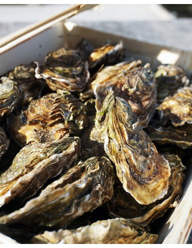 Bourriche 5kg : Huitres  n°2