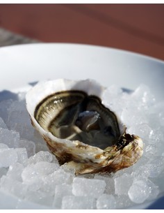 Bourriche 5kg : Huitres... 2