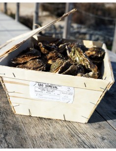 Bourriche 5kg : Huitres...