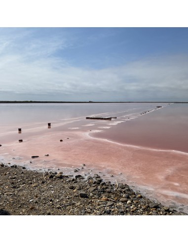 Le Brunch du Saunier
