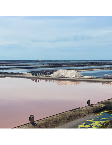 Le Brunch du Saunier