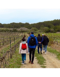 Le Brunch du Saunier