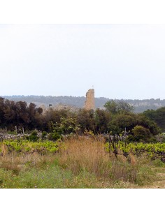Le Brunch du Saunier 2