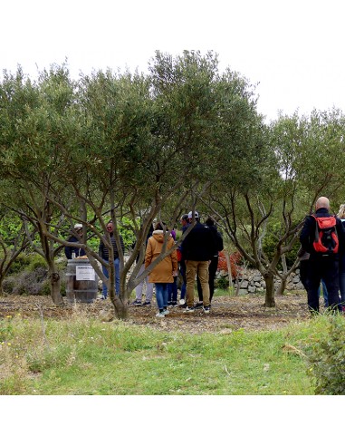 Le Brunch du Saunier