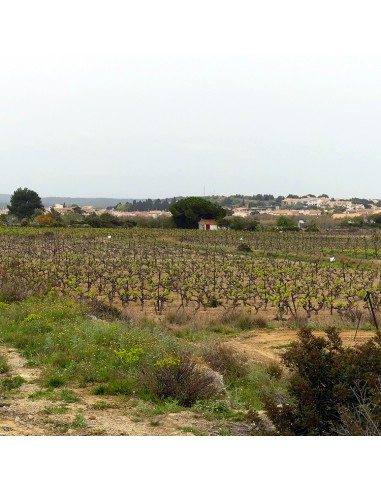 Le Brunch du Saunier